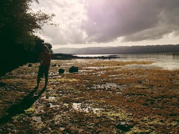 Man on an ocean shore.