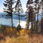 A lake with trees in Montana.