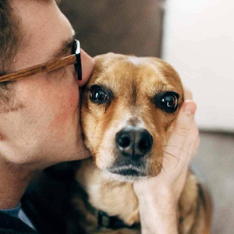 Bjork kissing Sage's head.